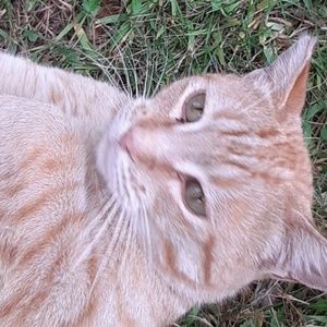 Meet your Posher, Becca